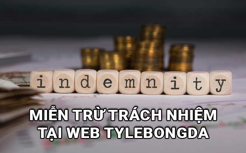 Những quy định miễn trừ trách nhiệm tại web Tylebongda